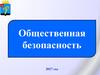 Общественная безопасность. Отчет за 2017 год