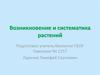 Возникновение и систематика растений