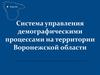 Система управления демографическими процессами на территории Воронежской области
