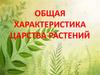 Общая характеристика царства растения