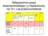 Забруднення цукру мікроорганізмами (у перерахунку на 10 г) за Д. Бронштеймом