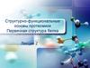 Структурно-функциональные основы протеомики. Первичная структура белка
