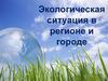 Экологические проблемы Челябинской области. Экологические проекты