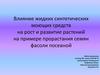 Влияние жидких синтетических моющих средств на рост и развитие растений на примере прорастания семян фасоли посевной