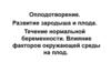 Оплодотворение. Развитие зародыша и плода. Течение нормальной беременности. Влияние факторов окружающей среды на плод