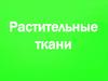 Растительные ткани