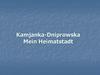 Kamjanka-Dniprowska Mein Heimatstadt