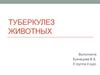 Туберкулез животных