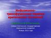 Инфузионно-трансфузионная терапия критических состояний