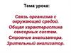 Связь организма с окружающей средой. Общая характеристика сенсорных систем. Строение анализатора. Зрительный анализатор