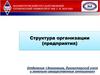 Структура организации (предприятия)