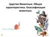 Царство Животные. Общая характеристика. Классификация животных