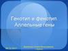 Генотип и фенотип. Аллельные гены