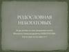 Родословная Небогатовых. К 95-летию со дня рождения поэта Михаила Александровича Небогатова