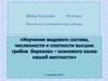Изучение видового состава, численности и плотности высших грибов березово-осинового колка нашей местности