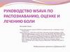 Руководство WSAVA по распознаванию, оценке и лечению боли