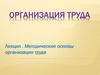 Методические основы организации труда
