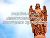 Процессуальное право: административная юрисдикция, конституционное судопроизводство