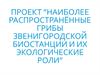 Проект ”Наиболее распространённые грибы Звенигородской биостанции и их экологические роли”