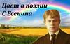 Цвет в поэзии С. Есенина