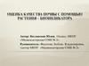 Оценка качества почвы с помощью растения – биоиндикатора