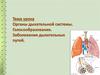 Органы дыхательной системы. Голосообразование. Заболевания дыхательных путей