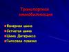 Транспортная иммобилизация в травмотологии. Фанерная шина. Сетчатая шина. Шина Дитерихса. Гипсовая повязка