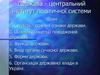 Держава - центральний інститут політичної системи