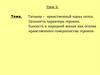 Образ Татьяны в романе А.С. Пушкина "Евгений Онегин"