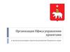 Организация Офиса управления проектами в целях реализации стратегии развития Пермского края