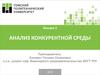 Анализ конкурентной среды