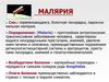 Малярия. Этиология. Жизненный цикл. Клиника. Лечение