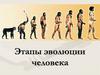 Этапы эволюции человека