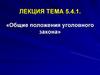 Общие положения уголовного закона