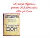 Женские образы, в романе М.А. Шолохова «Тихий Дон»