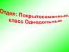 Класс однодольные