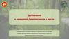 Требования к пожарной безопасности в лесах