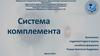 Система комплемента