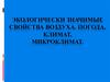 Экологически значимые свойства воздуха. Погода, климат, микроклимат. (Лекция 3)