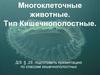 Многоклеточные животные. Тип Кишечнополостные