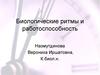 Биологические ритмы и работоспособность