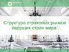 Структура страховых рынков ведущих стран мира