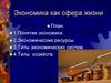 Экономика как сфера жизни