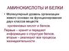 Аминокислоты и белки