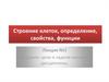 Строение клеток, определение, свойства, функции