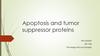Apoptosis and tumor suppressor proteins