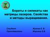 Бораты и силикаты как матрицы лазеров. Свойства и методы выращивания
