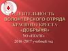 Деятельность волонтерского отряда Красного Креста «Добрыня»