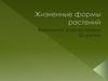 Жизненные формы растений