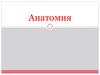 Анатомия человека